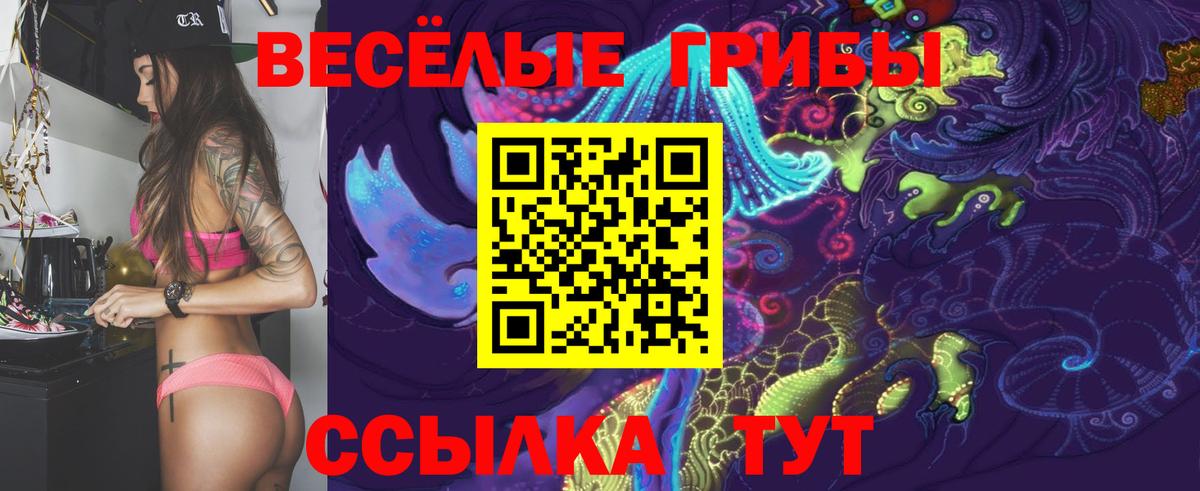 Псилоцибиновые грибы Cubensis Находка