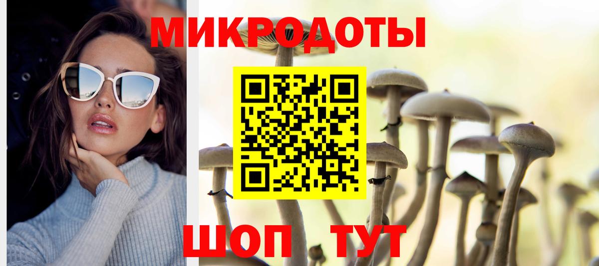 Псилоцибиновые грибы MAGIC MUSHROOMS  Вход с VPN  Находка 